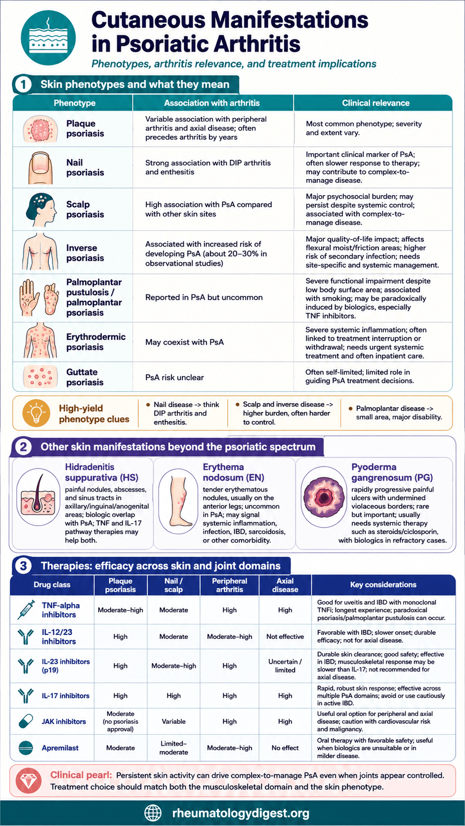 Cutaneous phenotypes in psoriatic arthritis and how drug class selection follows the skin pattern