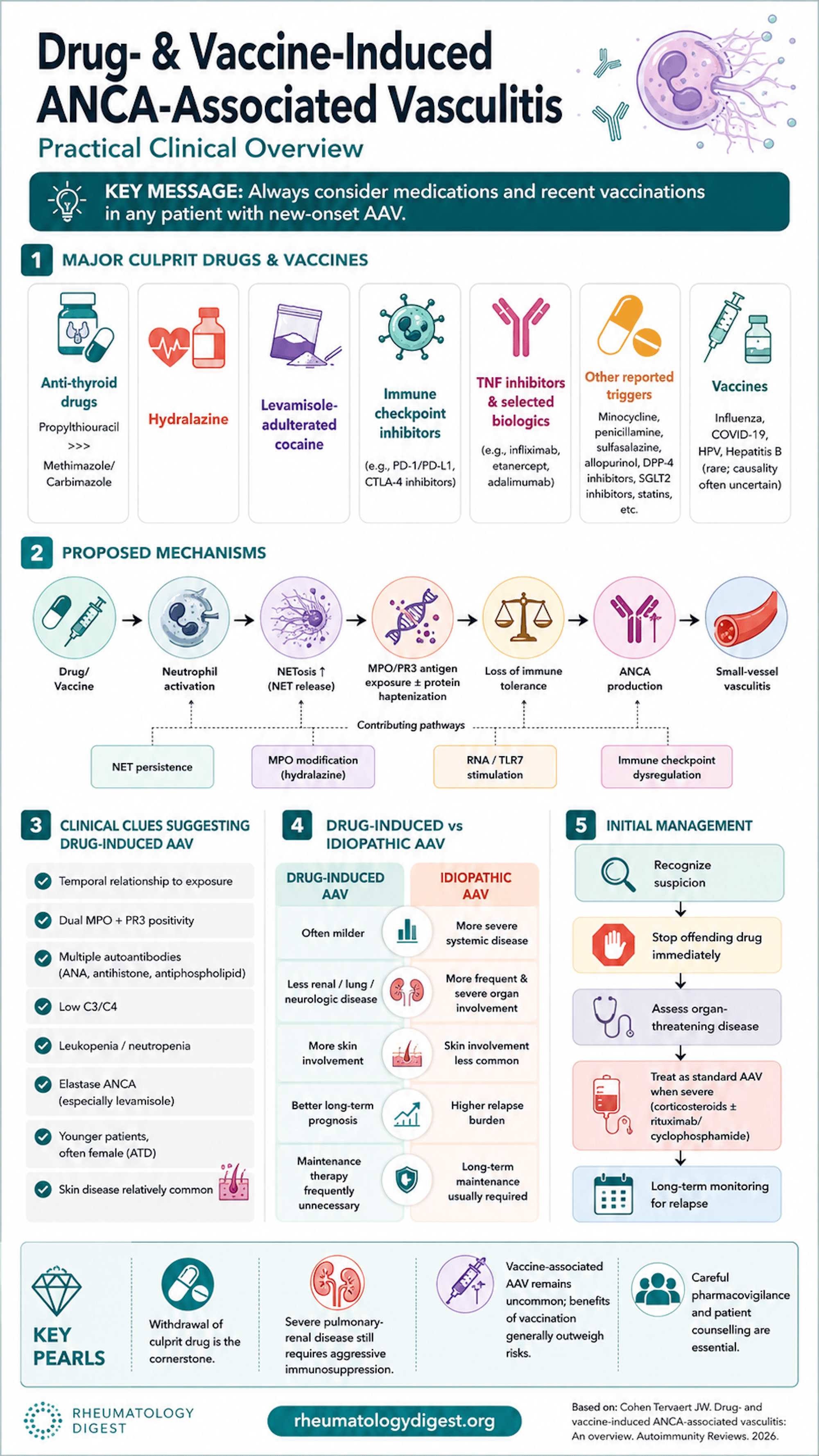 Drug- and vaccine-induced ANCA-associated vasculitis — triggers, serology and management