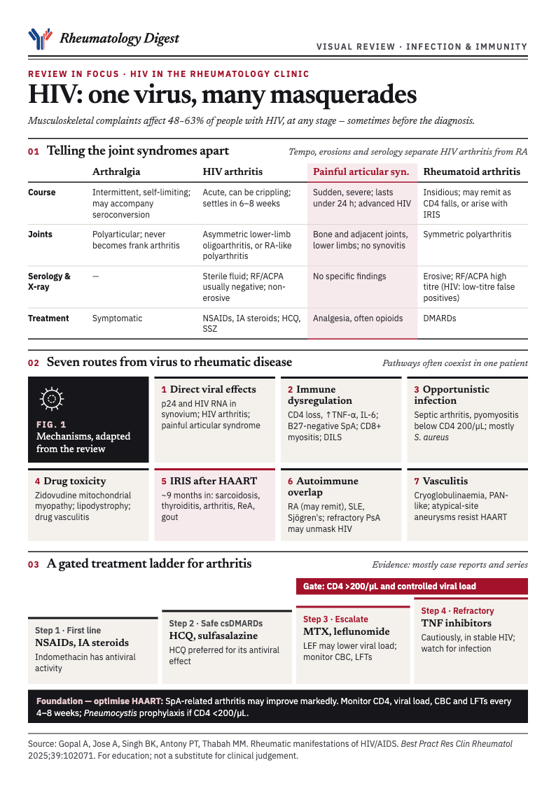 Visual review of rheumatic manifestations of HIV/AIDS, part 1 of 2: joint syndromes, routes from virus to disease, and a gated treatment ladder