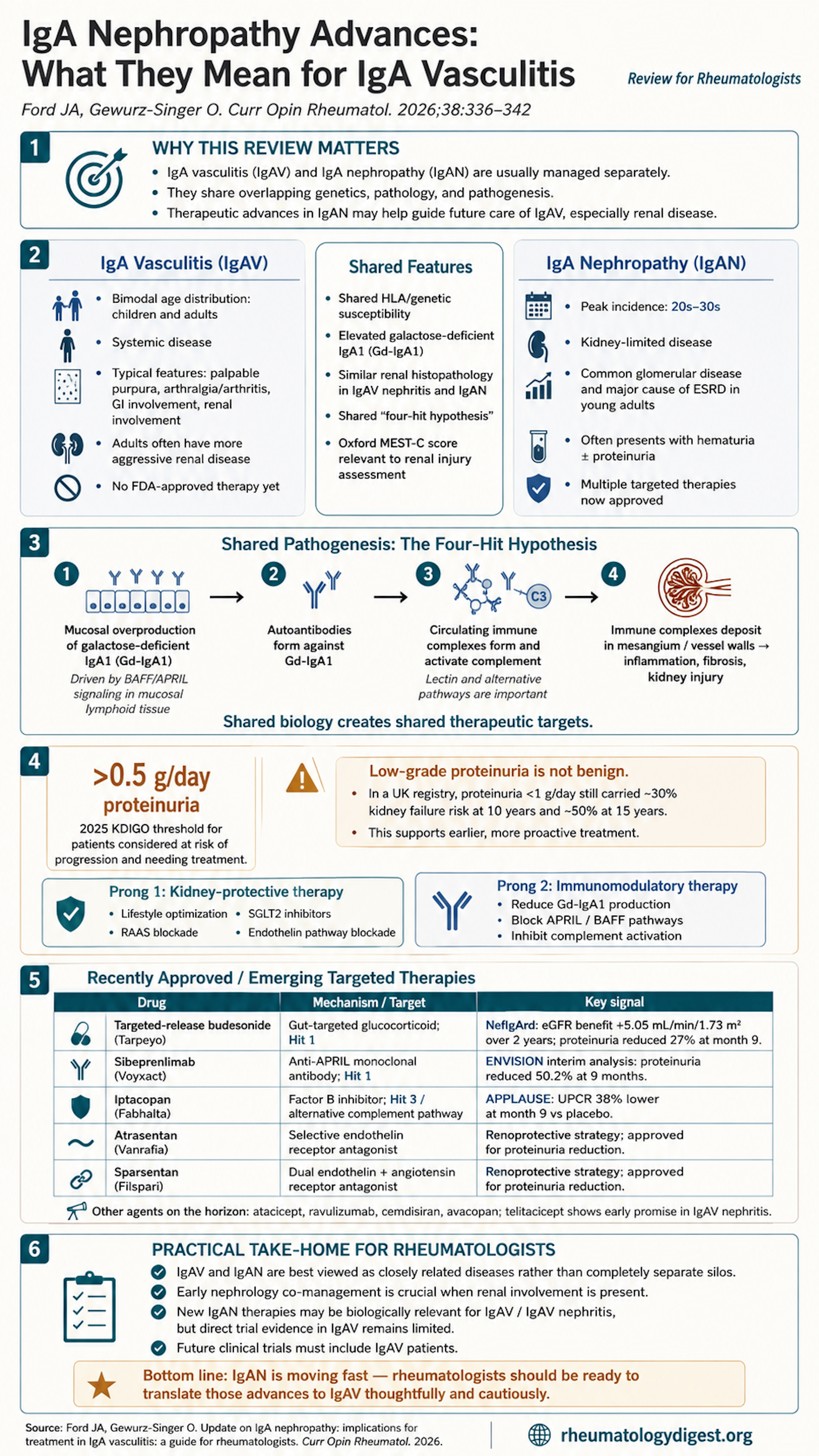 IgA vasculitis and IgA nephropathy: shared four-hit pathogenesis and the drugs mapped to each hit
