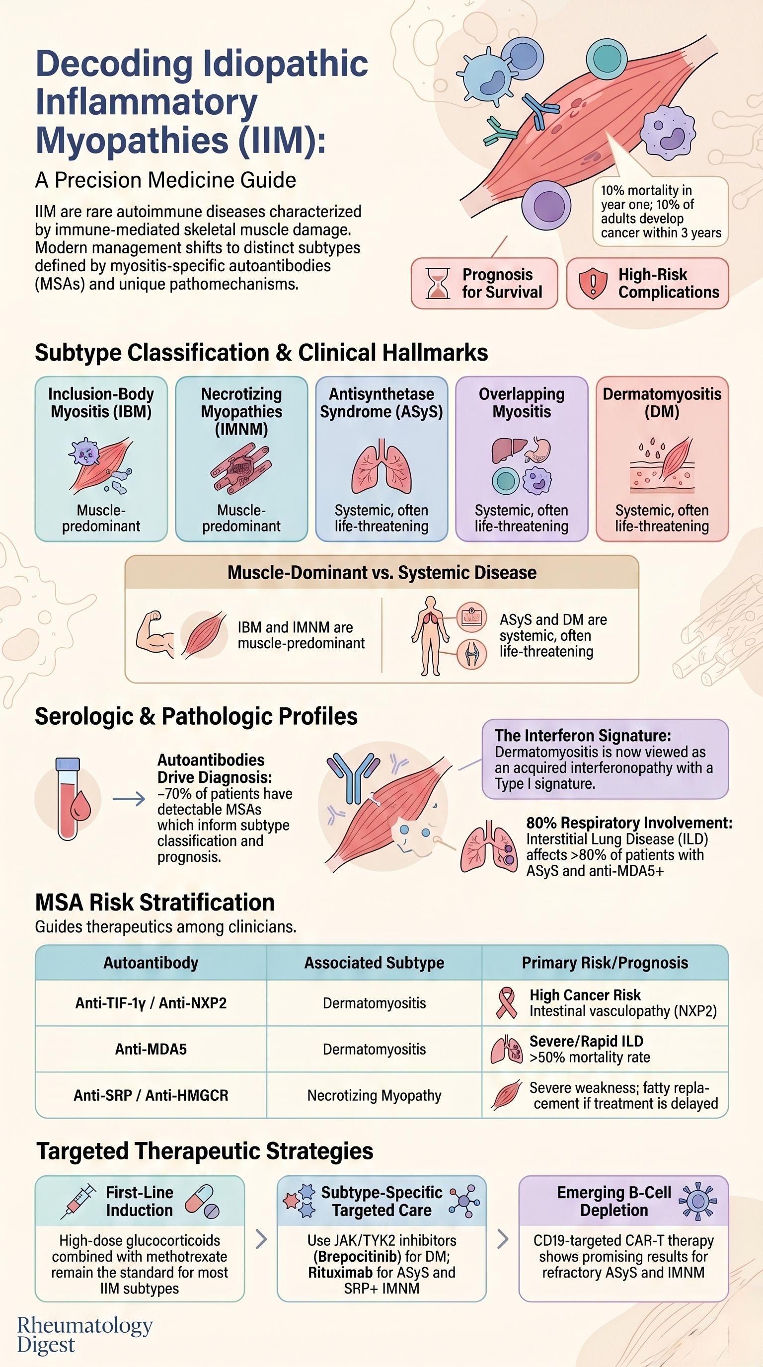 Inflammatory myopathies — five-subtype framework infographic