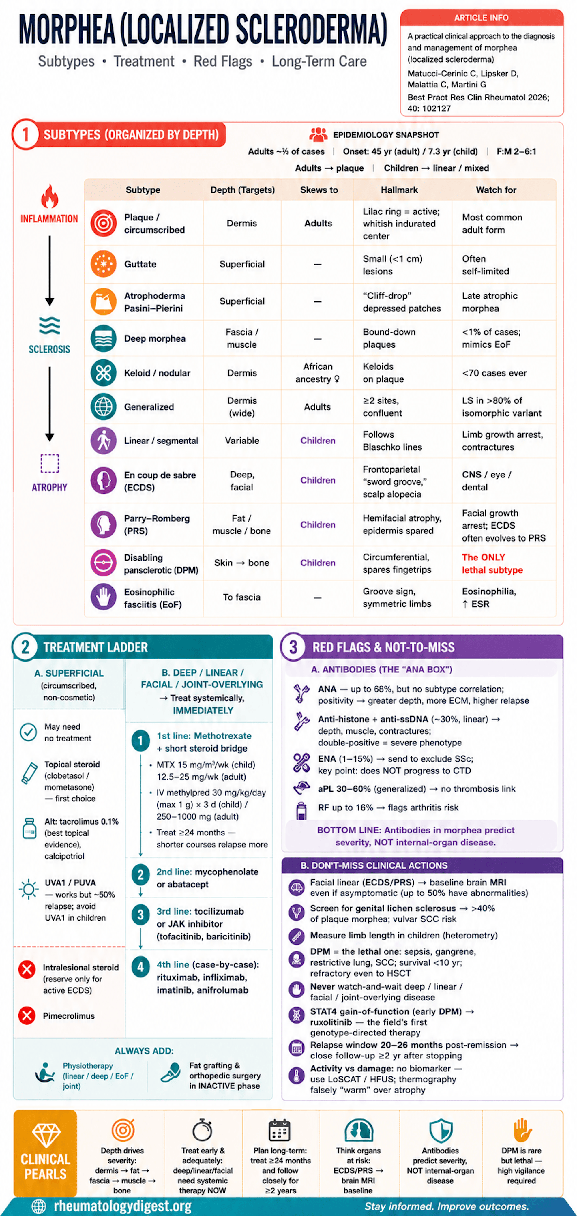 A practical clinical approach to morphea (localized scleroderma)