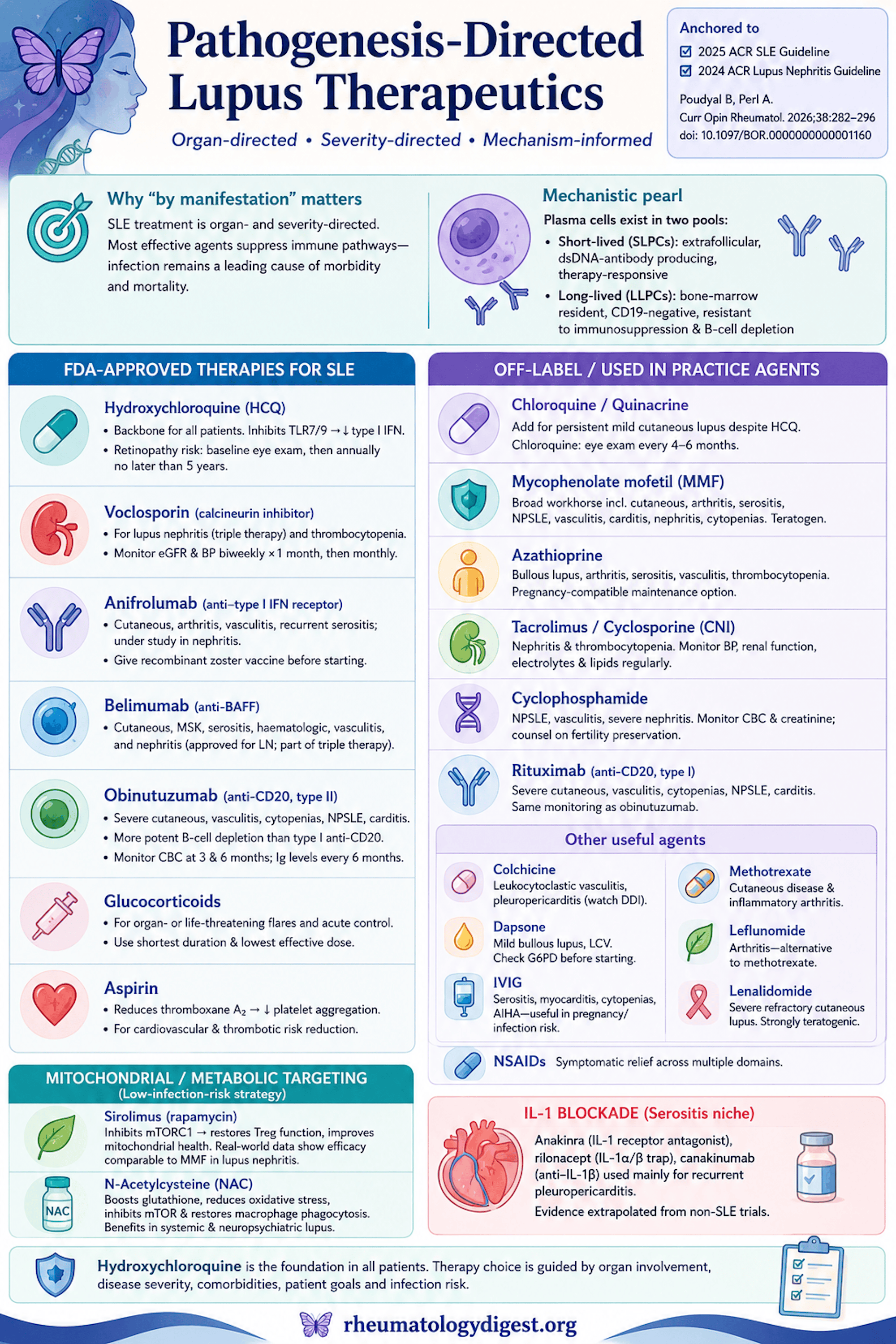 Pathogenesis-directed lupus therapeutics mapped by mechanism and manifestation