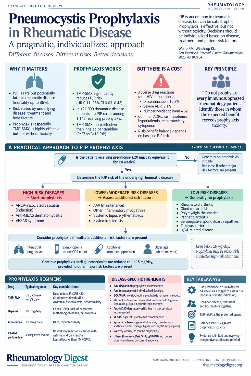 Pneumocystis prophylaxis in rheumatic disease