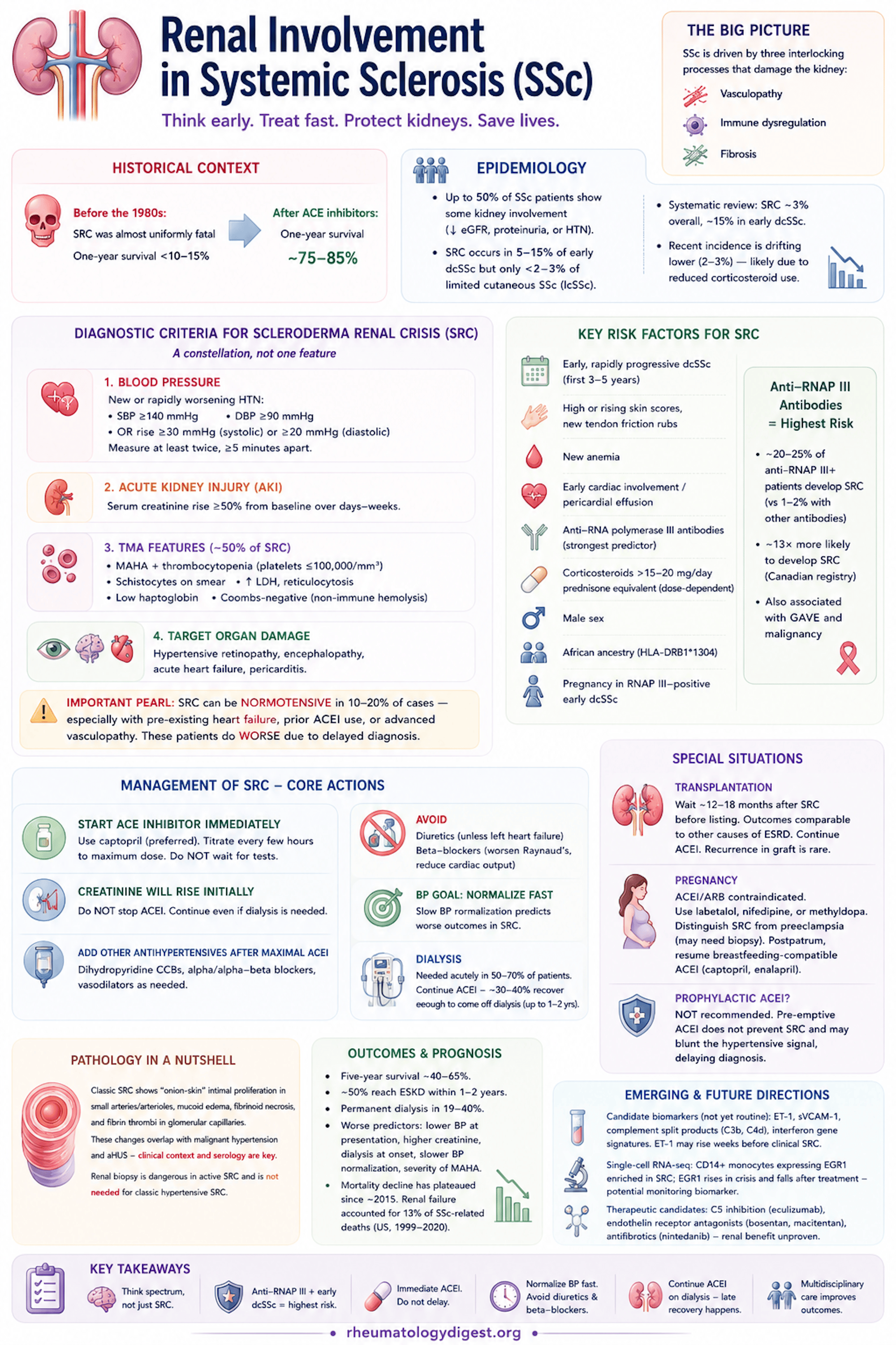 Renal involvement in systemic sclerosis — spectrum, mechanisms and management