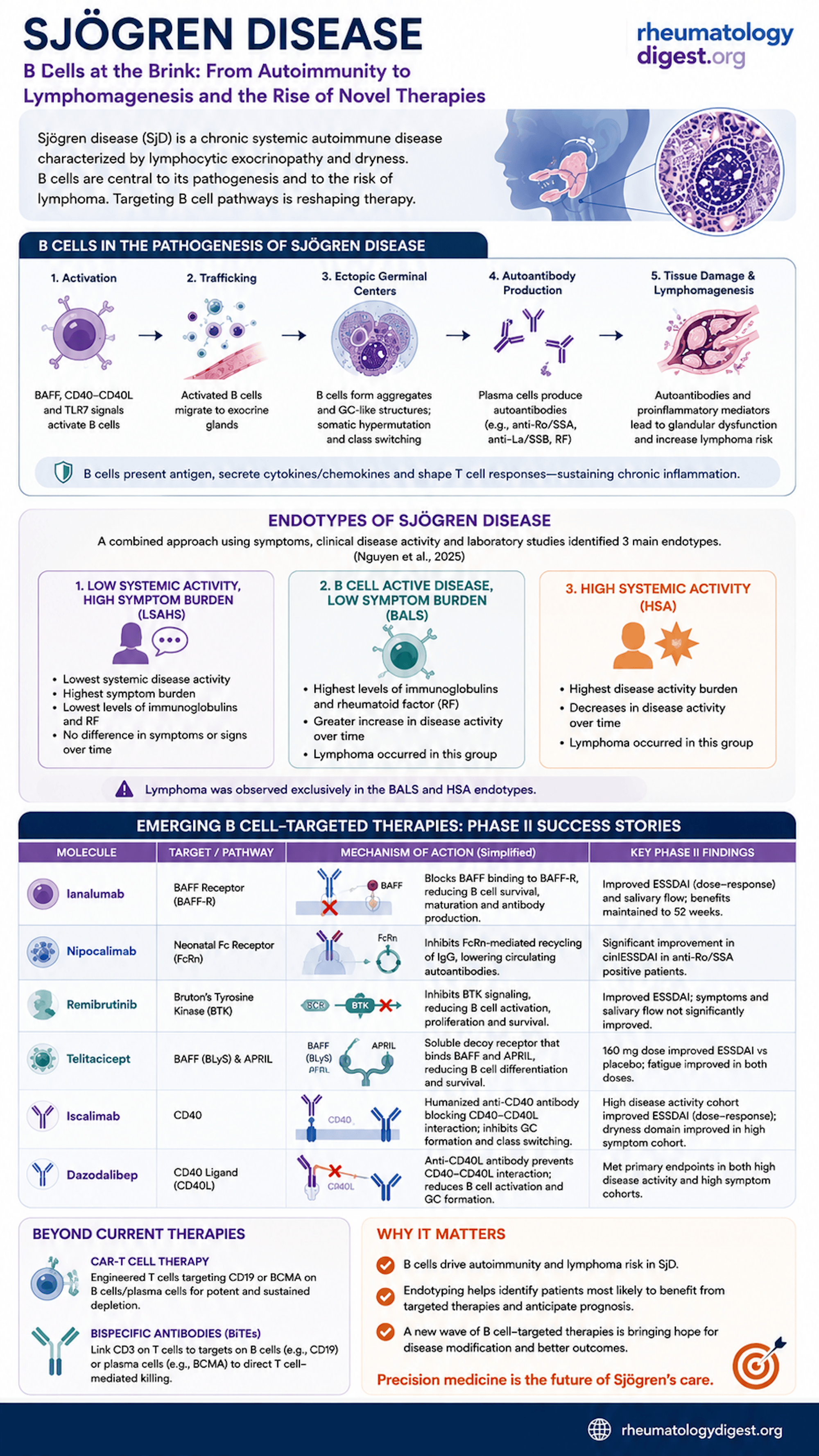 B cells in Sjögren disease — from autoimmunity to lymphomagenesis and B-cell-targeted therapies