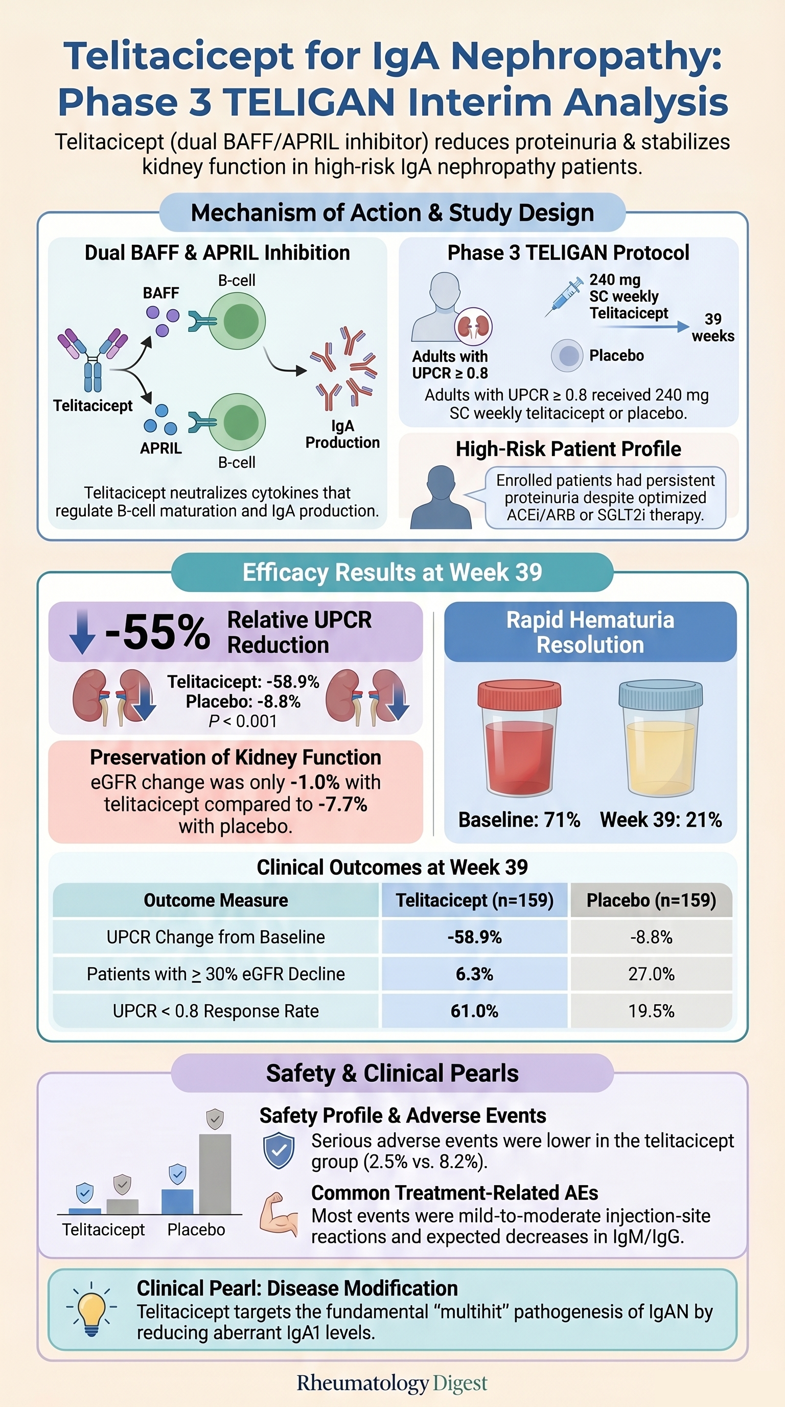 Telitacicept for IgA Nephropathy — TELIGAN Phase 3 Trial